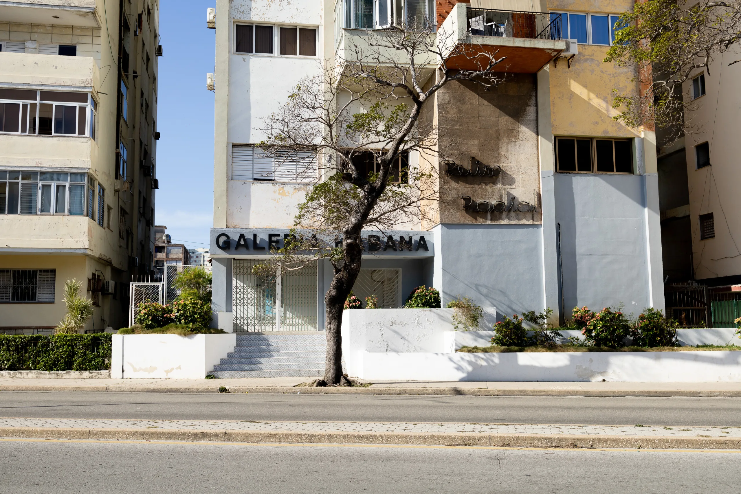Galería Habana