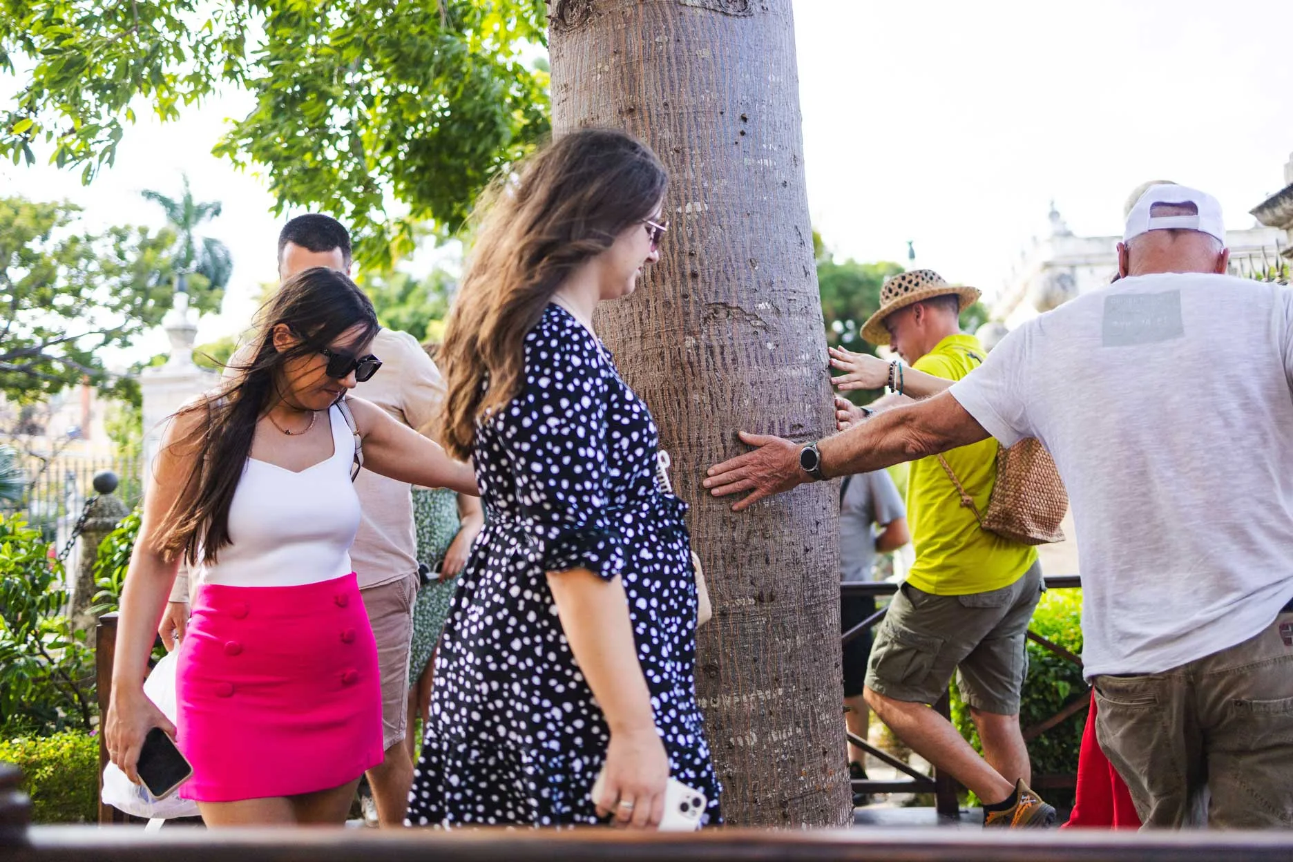 La ceiba de los deseos