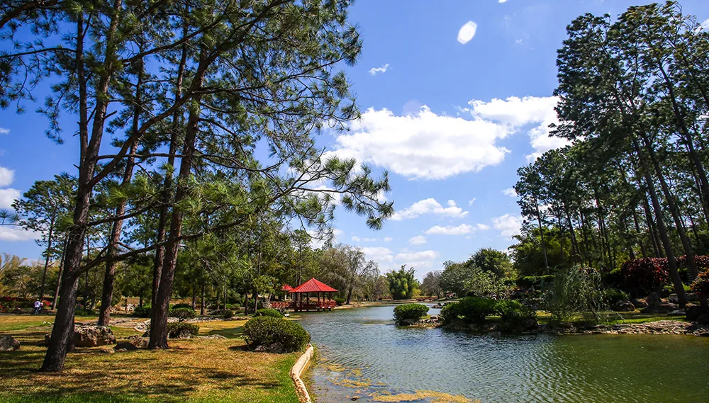 El Jardín Botánico Nacional